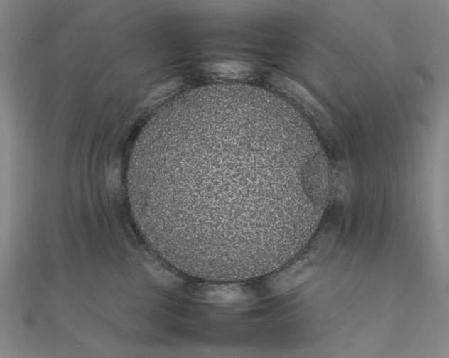 X0000111860377200908061340