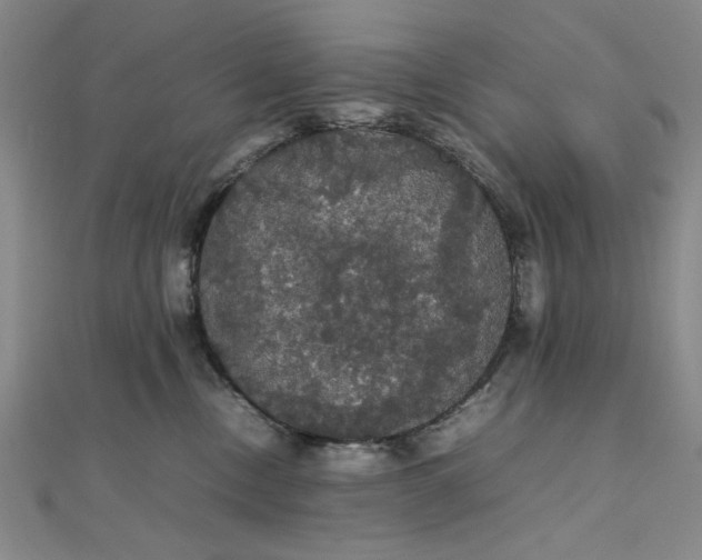 X0000111860378200908061340