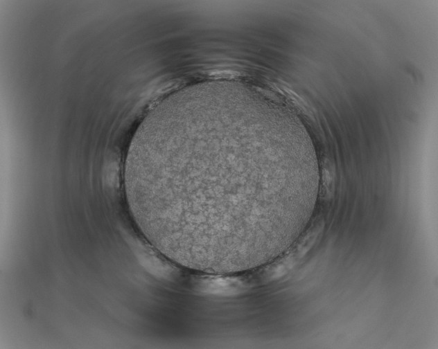 X0000111860379200908061340