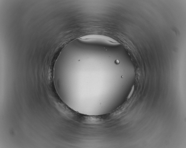 X0000111860380200908061341