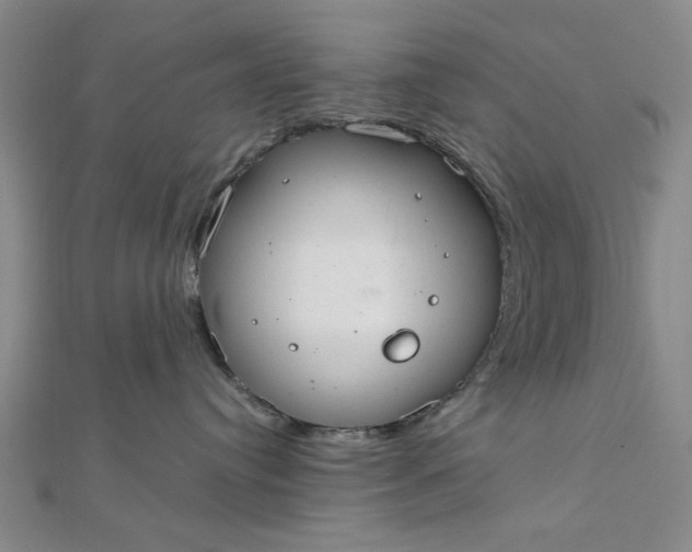 X0000111860384200908061341