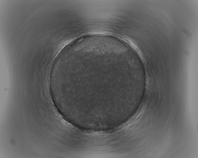 X0000111860385200908061340