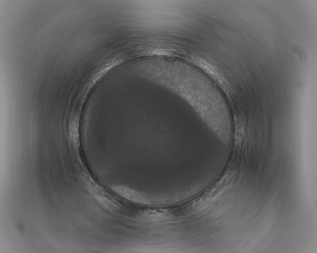 X0000111860386200908061340