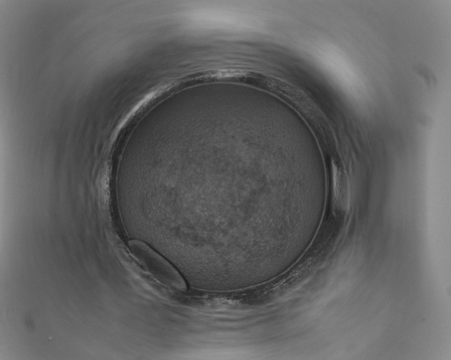 X0000111860387200908061340