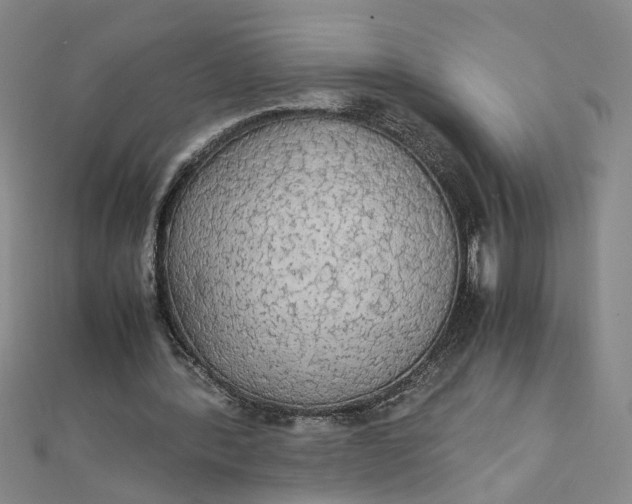 X0000111860388200908061340