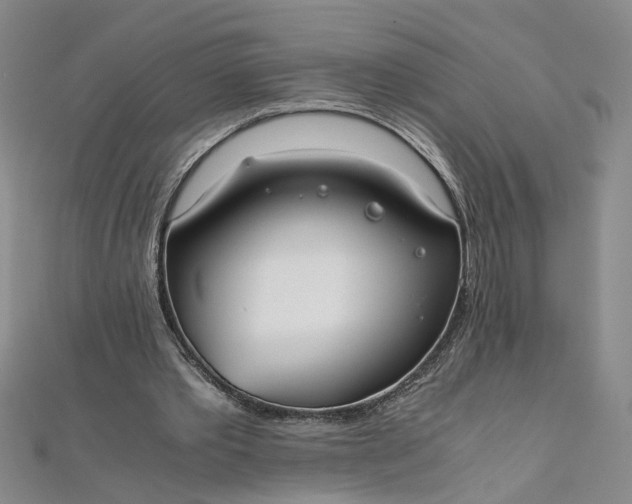 X0000111860389200908061340