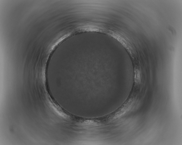 X0000111860390200908061340