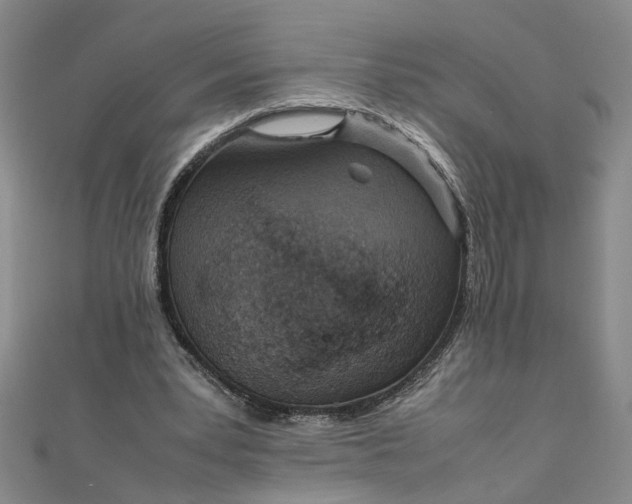 X0000111860391200908061340