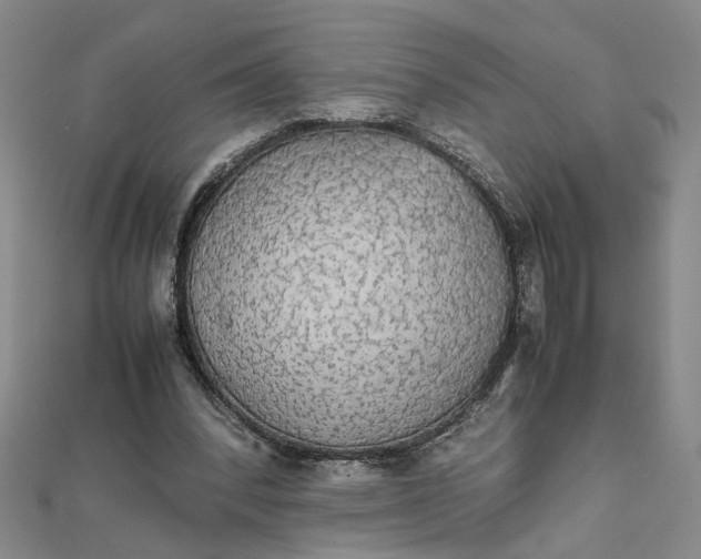 X0000111860392200908061340