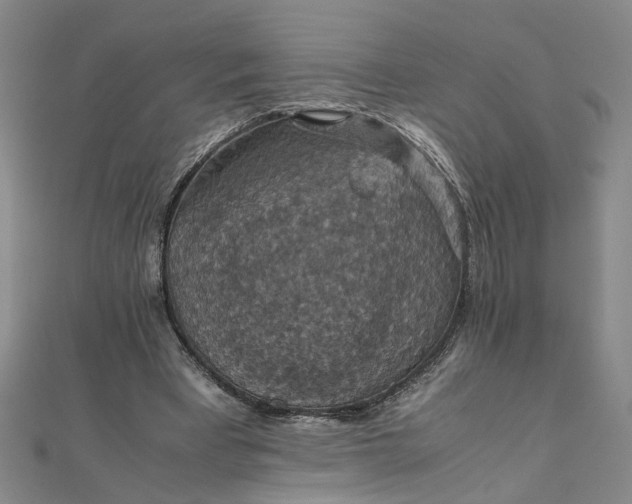 X0000111860393200908061340