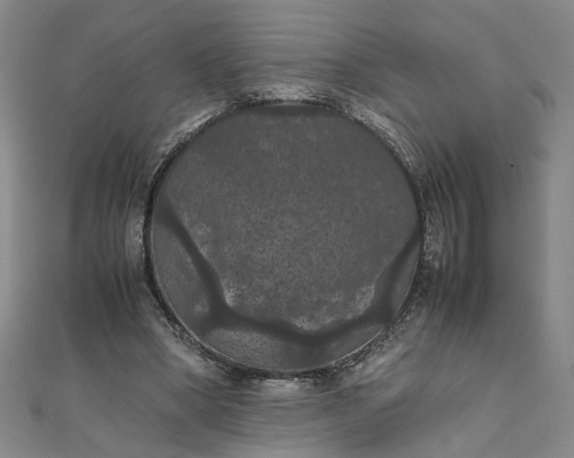 X0000111860394200908061340