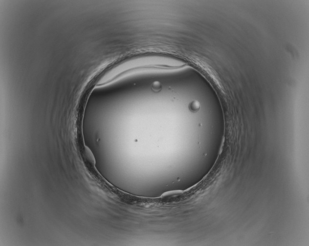 X0000111860395200908061340