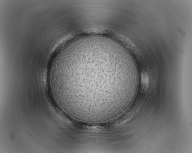 X0000111860396200908061340