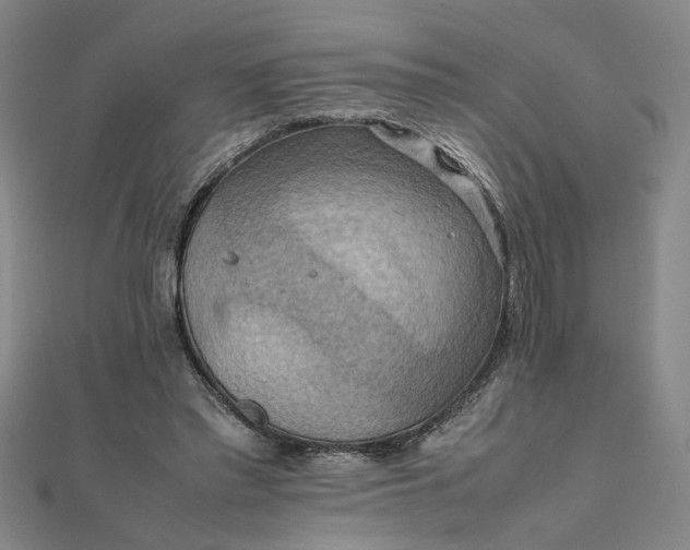 X0000111860397200908061340