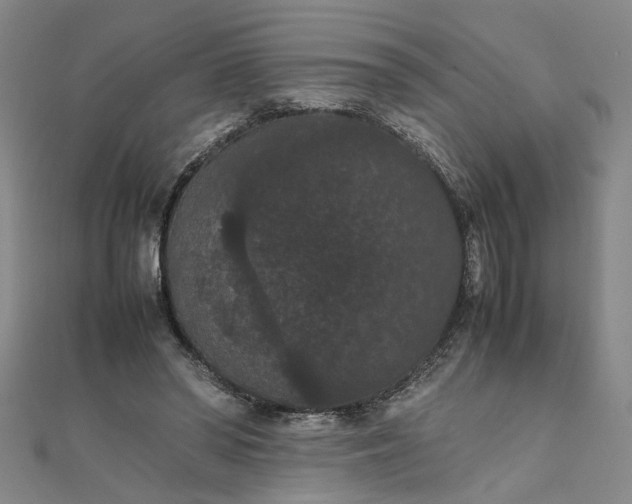 X0000111860398200908061340