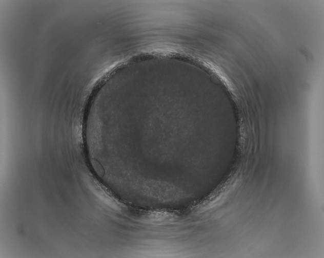 X0000111860399200908061340