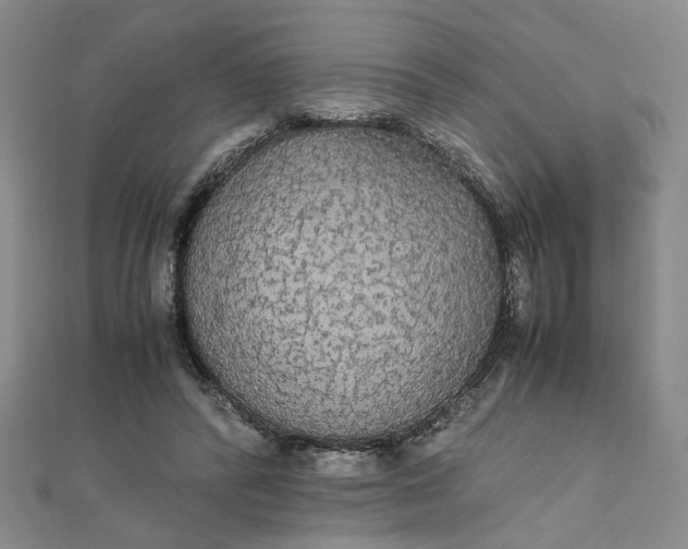 X0000111860400200908061340