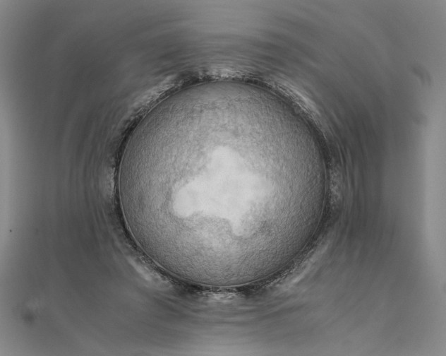 X0000111860401200908061340