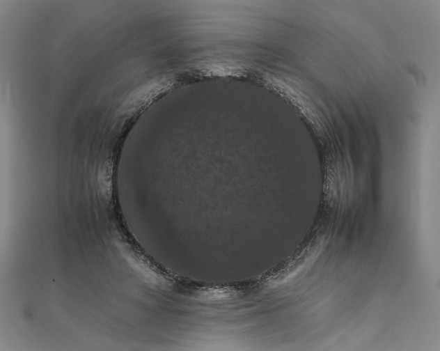 X0000111860402200908061340