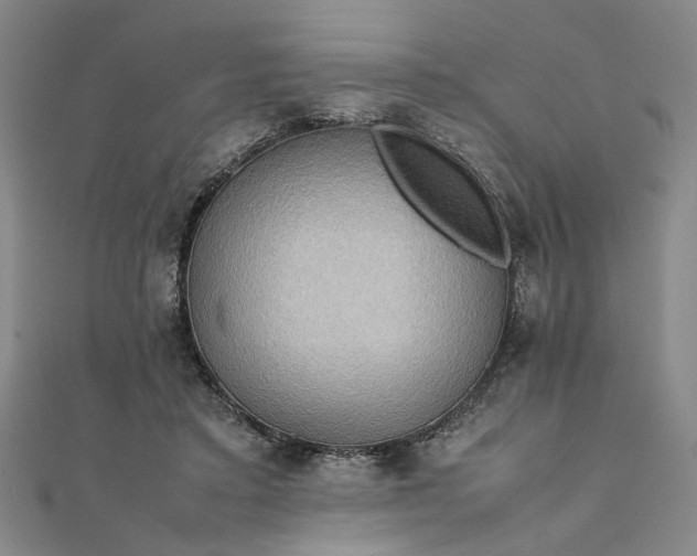 X0000111860403200908061340