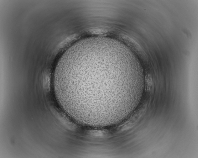 X0000111860404200908061340