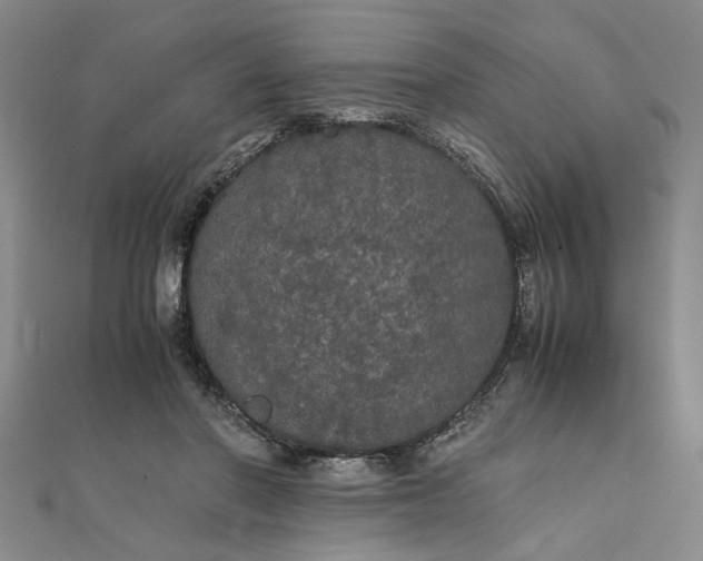 X0000111860406200908061340