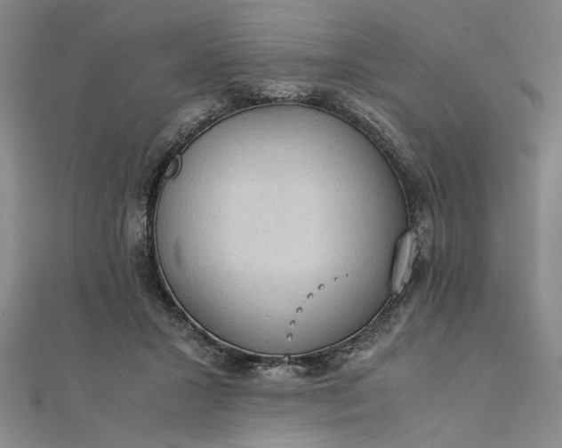 X0000111860407200908061340