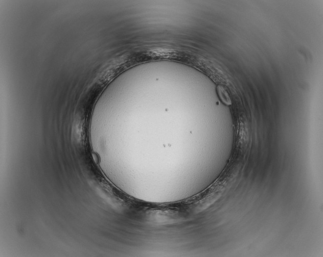 X0000111860408200908061340