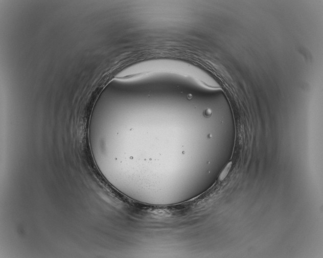 X0000111860409200908061340