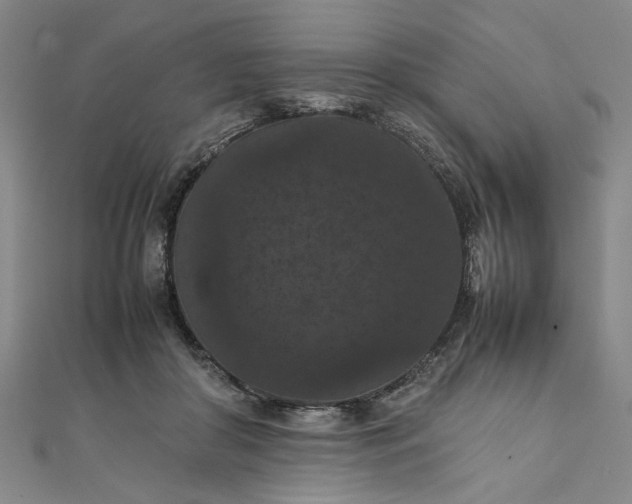 X0000111860410200908061340