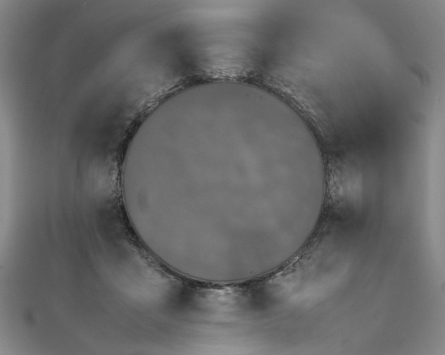 X0000111860411200908061340