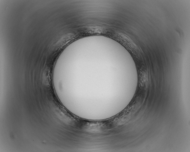 X0000111860414200908061340