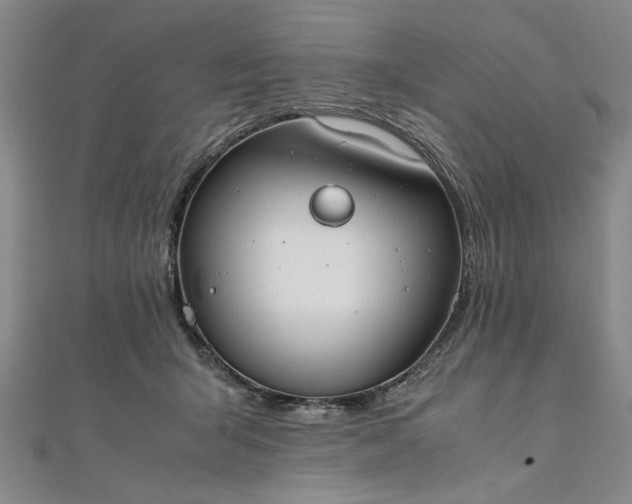 X0000111860415200908061340