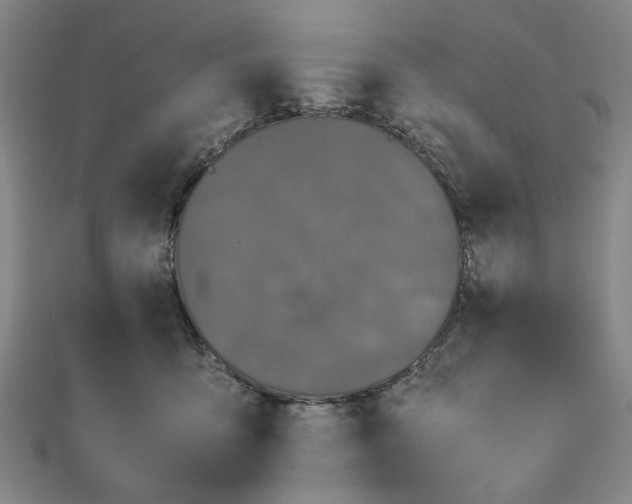 X0000111860419200908061340