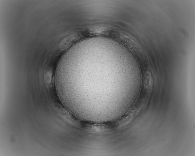 X0000111860420200908061339