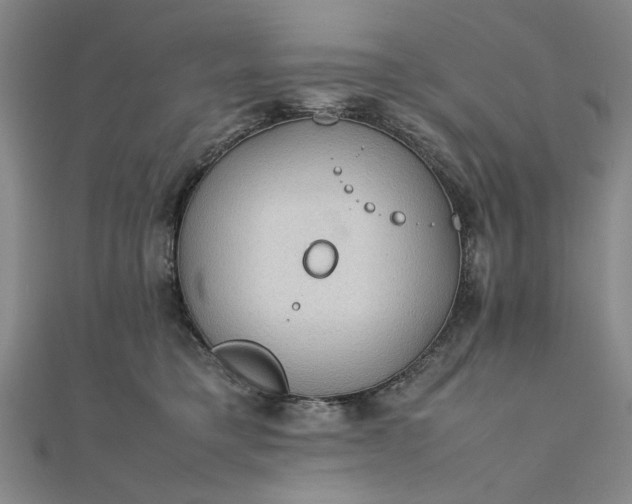 X0000111860421200908061339