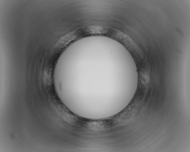 X0000111860422200908061339