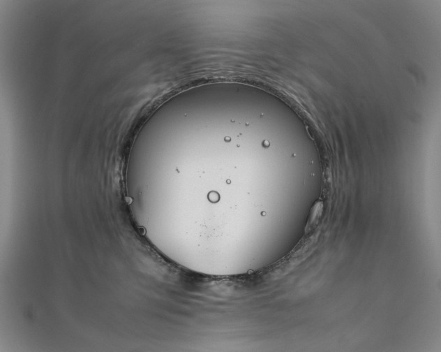 X0000111860423200908061339