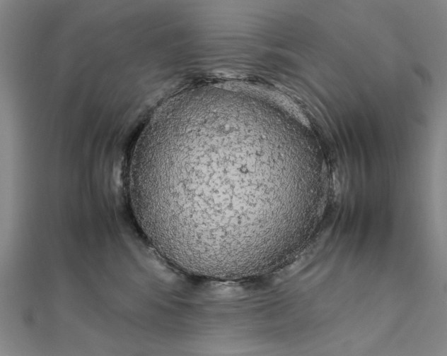 X0000111860424200908061339