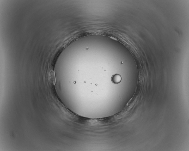 X0000111860425200908061339