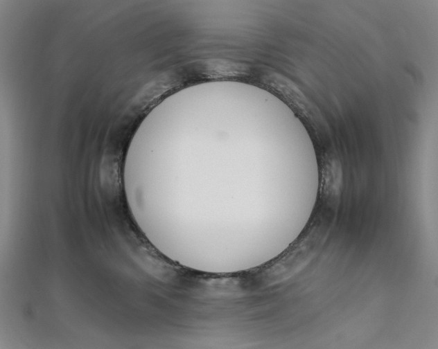 X0000111860426200908061339