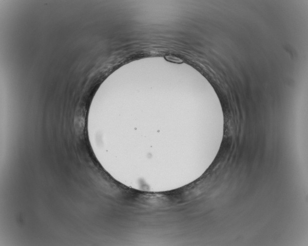 X0000111860427200908061339