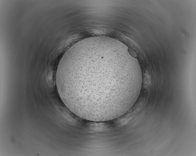 X0000111860428200908061339