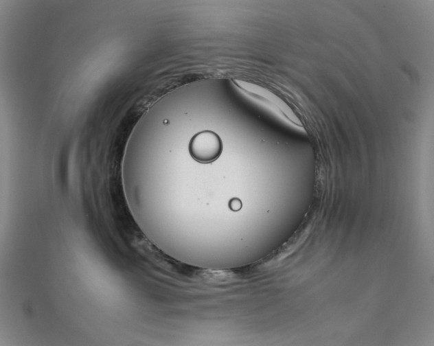 X0000111860429200908061339