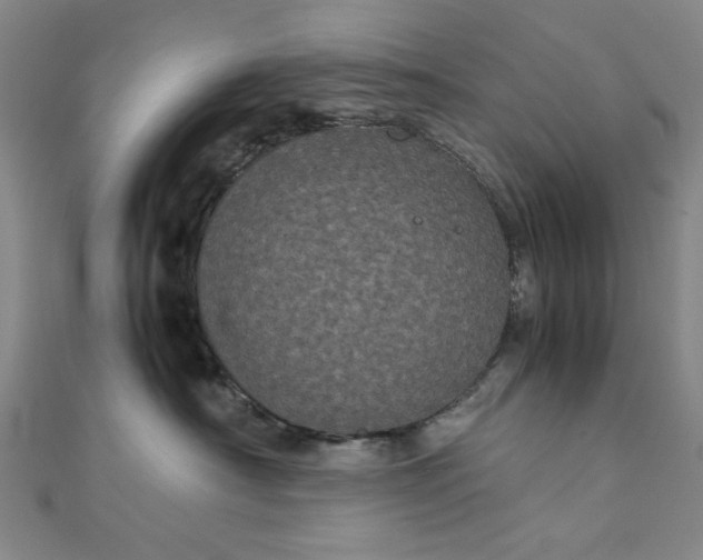 X0000111860430200908061339