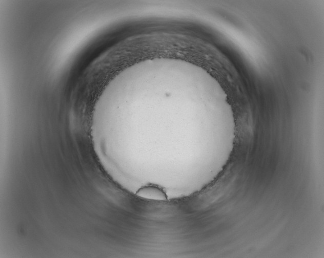 X0000111860431200908061339