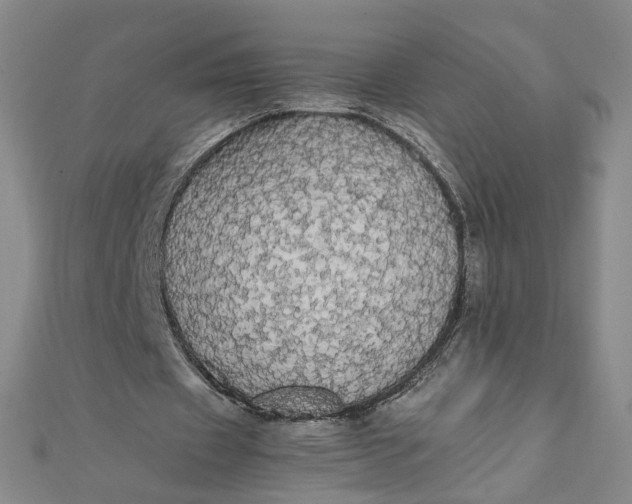 X0000111860433200908061339