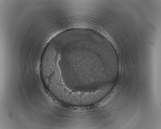 X0000111860434200908061339