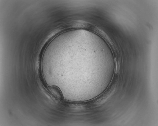 X0000111860435200908061339