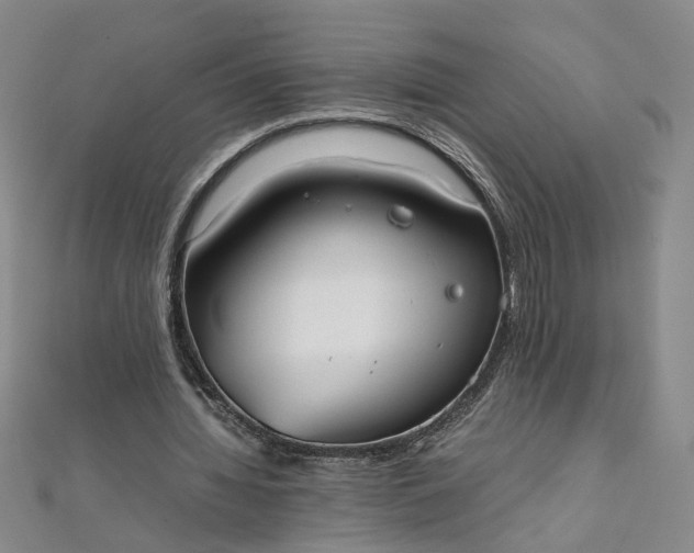 X0000111860436200908061339